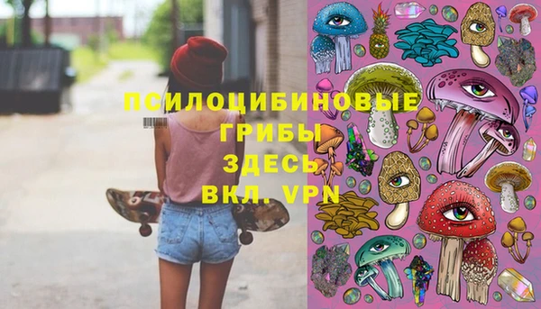 2c-b Лихославль